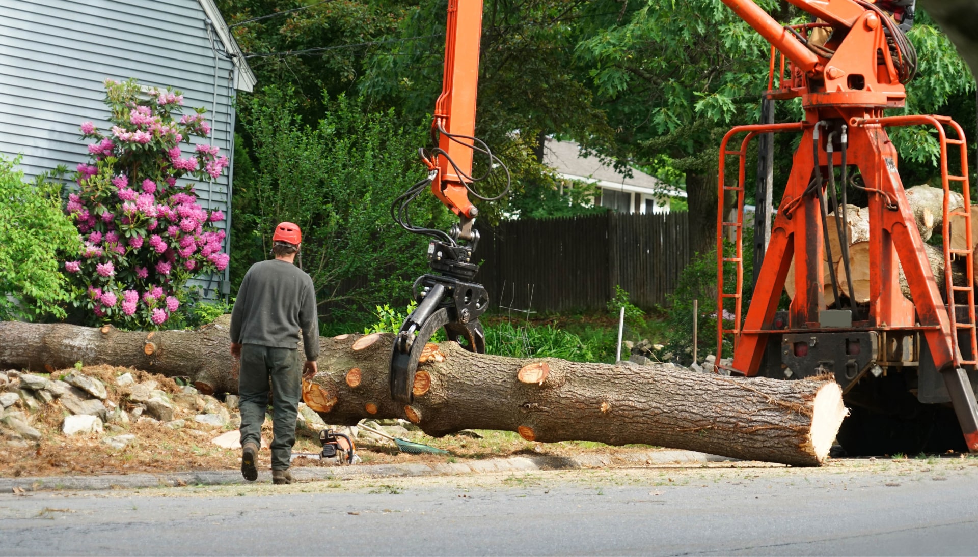 Local partner for Tree removal services in Spring
